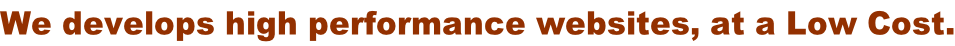We develops high performance websites, at a Low Cost.
